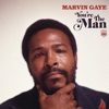 Marvin Gaye - I Want To Come Home For Christmas