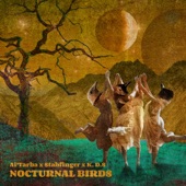 Nocturnal Birds (Cdc10) artwork