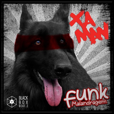 Funk Malandragem - Single