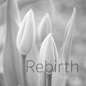 Rebirth