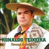 Ronaldo Teixeira - Guaiacudo