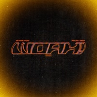 Woah! - Single - Bleeze Kapo & Ric de Large