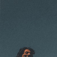 Work in Progress - Single - Gate$