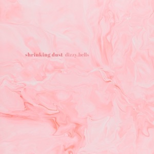 Shrinking Dust