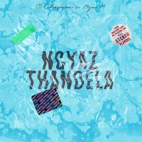 Ngyaz'thandela (feat. Mzu M) - Single - 031choppa