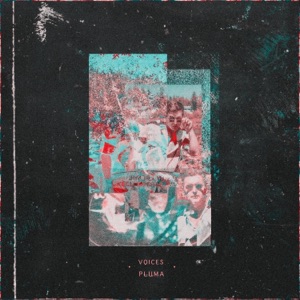 Voices - Single