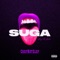 Suga Intro (ChopNotSlop Remix) - Megan Thee Stallion lyrics