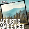 Acoustic Ambiences