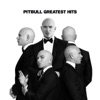 Pitbull & The Stereotypes