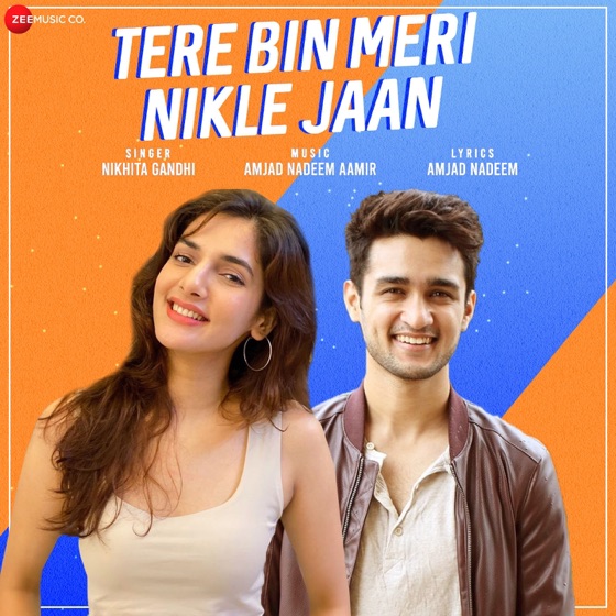 Cover artwork for Tere Bin Meri Nikle Jaan
