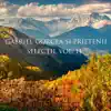 Gabriel Gorcea si Prietenii - De Ce Suntem Închişi Când Este Libertate