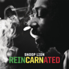 Remedy (feat. Busta Rhymes & Chris Brown) - Snoop Lion