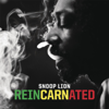 Torn Apart (feat. Rita Ora) - Snoop Lion