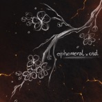 Палёный асфальт (Acoustic) [feat. OTD] - Single