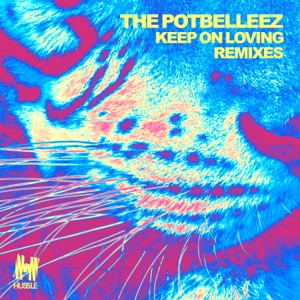 Keep on Loving (Remixes) - Single
