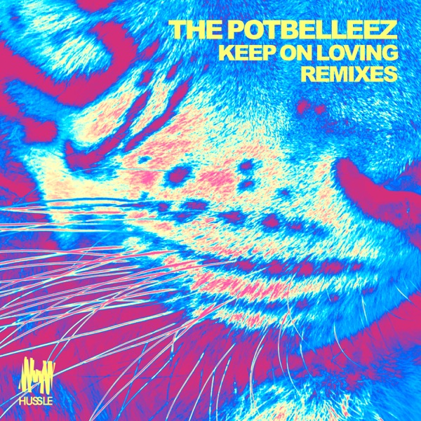 Keep on Loving (Remixes) - Single