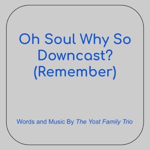 Oh Soul Why So Downcast? (Remember) - Single