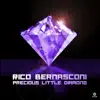 Rico Bernasconi - Precious Little Diamond (Jason Vinterra Remix)