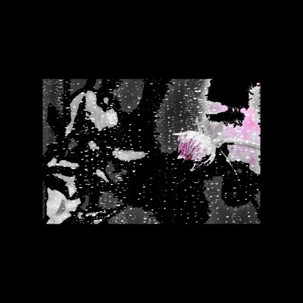 Rain (feat. Praverb the Wyse & Spoonfull)
