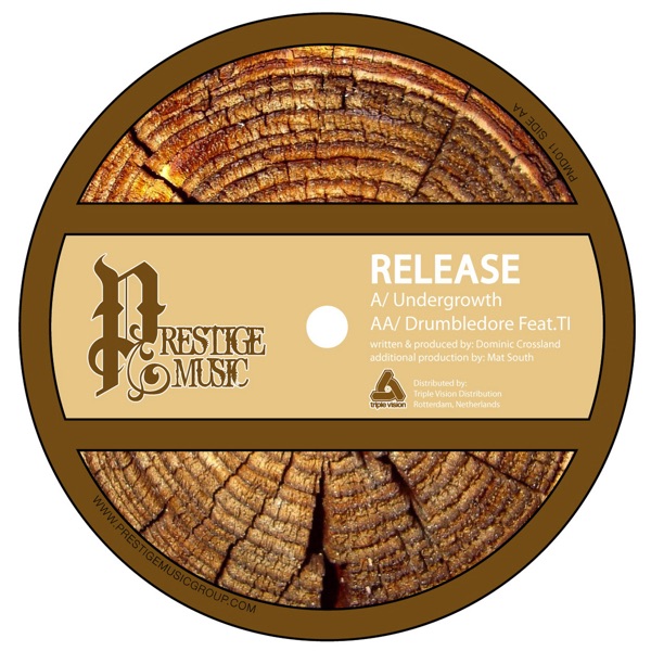 Undergrowth / Dumbledore (feat. TI) - Single