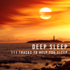 Deep Sleep: 111 Tracks to Help You Sleep, Relaxing Music for Trouble Sleeping, Calming Sounds for Sleep Meditation, Rest & Relaxation - Restful Sleep Music Consort