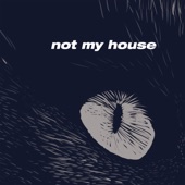 Not My House artwork
