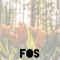 Fos - Kolono lyrics