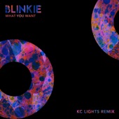 What You Want (KC Lights Remix) artwork