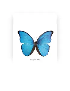 Listen to Madre Mariposa, watch music videos, read bio, see tour dates & more!