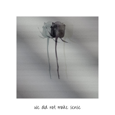 We Did Not Make Sense - Single