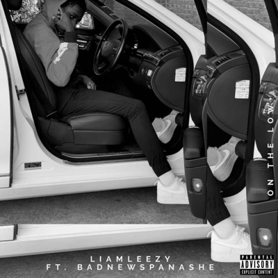 On the Low (feat. Badnewspanashe) - Single