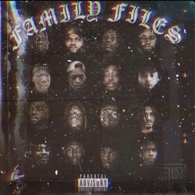 THE Family Files VOL 1.