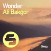 Stream & download Wonder - Single