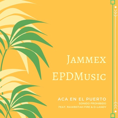 Acá en el Puerto (feat. Rawbstah Fire & D-Landy) - Single