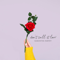 Samantha Harvey - Don't Call It Love artwork