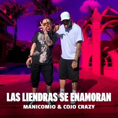 Las Liendras Se Enamoran - Single