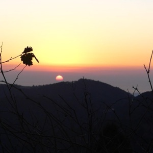 Some Sad Songs I Hadnt Released Yet, Or W/E - Single