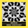 Repair The Sun