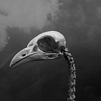 Benzin Deposu (feat. AK47ELLA) - Single - Noransi