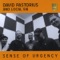 Foul Play - David Pastorius and Local 518 lyrics