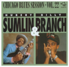 Baby What You Want Me to Do - Billy Branch