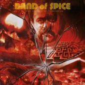 Band of Spice - The Fading Spot