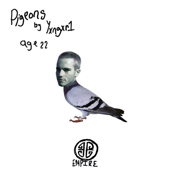 Cover artwork for PIGEONS
