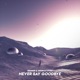 Never Say Goodbye Single