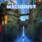 Blackout (feat. Mark Lettieri) - Meliorist lyrics