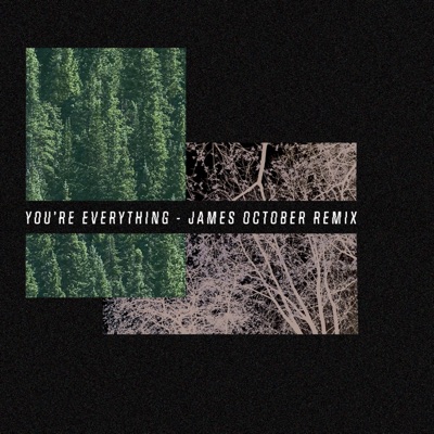 You're Everything (feat. james october) [Remix] - Single