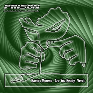 Are You Ready / Verde - Single