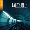 David Greilsammer Armide, LWV 71, Act II, Scene 4: "Les sourdines" (Arr. for Harpsichord by Jean-Henri d'Anglebert) Labyrinth
