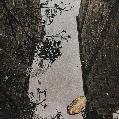 Retrato - Single
