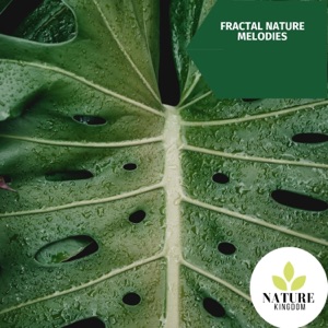 Fractal Nature Melodies